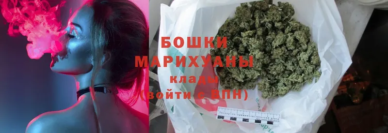 где купить   Щучье  Бошки Шишки SATIVA & INDICA 